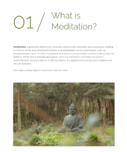The Mindful Guide to Meditation - Image 4